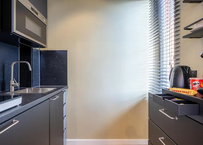 The Shine - Premium Studio-hbf-messe-buergerweide-citygate-oevb Arena Appartement